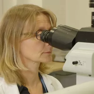 Ilustrační obrázek