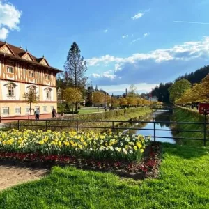 Ilustrační obrázek