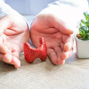 Ilustrační obrázek