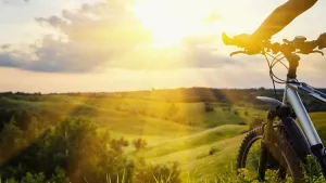 Ilustrační obrázek