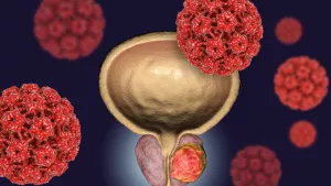 Ilustrační obrázek