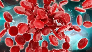 Ilustrační obrázek