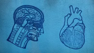 Ilustrační obrázek