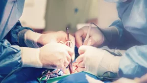 Ilustrační obrázek