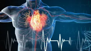 Ilustrační obrázek