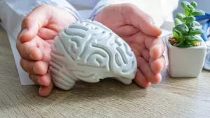 Ilustrační obrázek