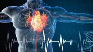 Ilustrační obrázek