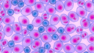 Ilustrační obrázek