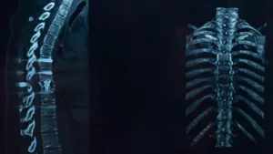 Ilustrační obrázek