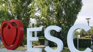 Ilustrační obrázek