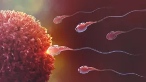 Ilustrační obrázek