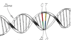 Ilustrační obrázek