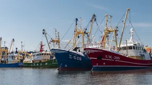 Ilustrační obrázek