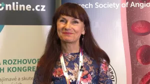 Ilustrační obrázek