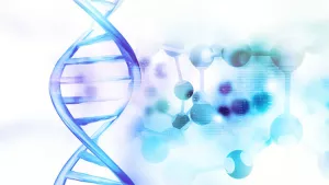 Ilustrační obrázek