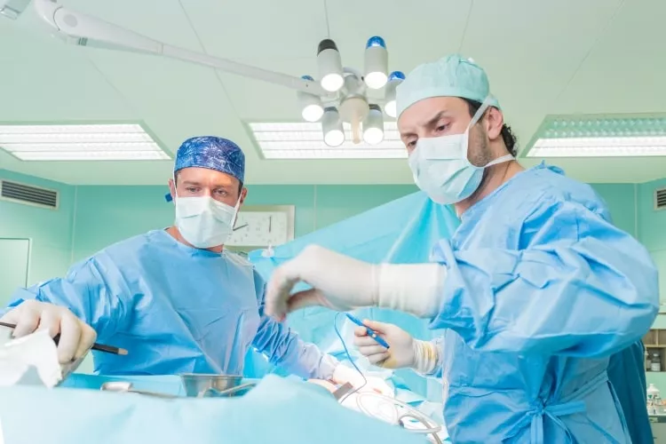 Ilustrační obrázek