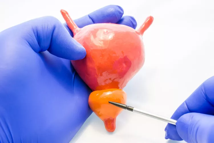 Ilustrační obrázek