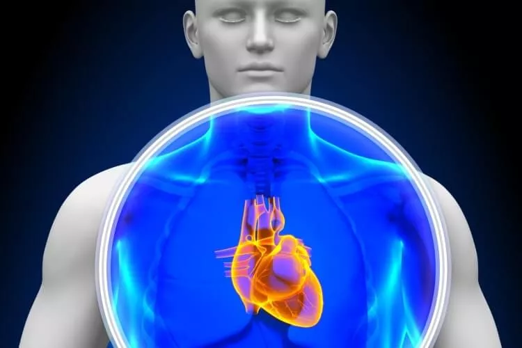 Ilustrační obrázek