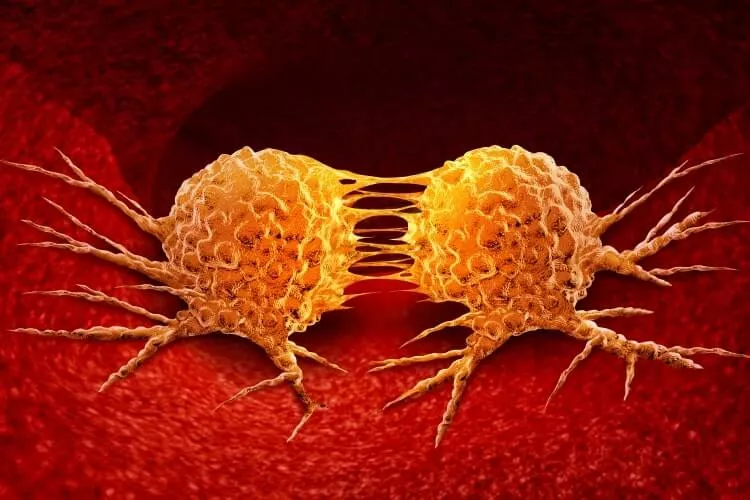 Ilustrační obrázek