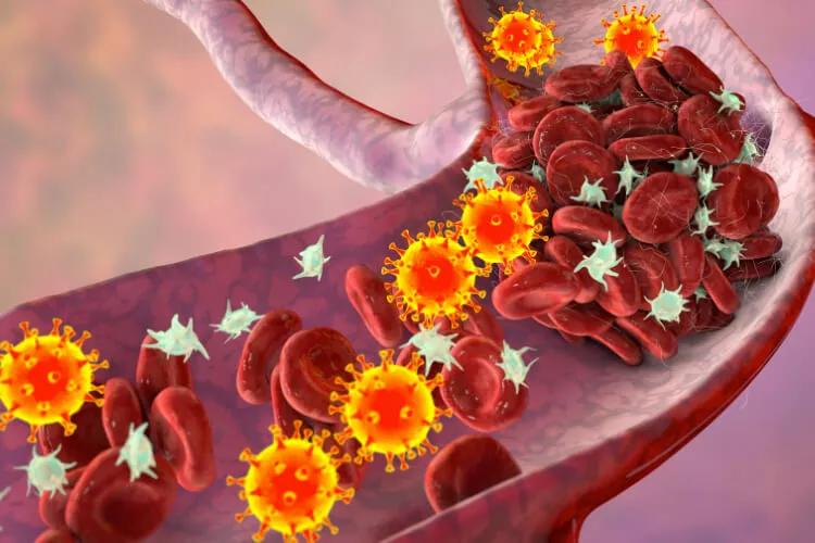 Ilustrační obrázek