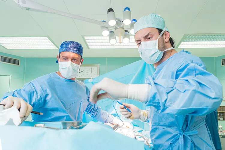 Ilustrační obrázek