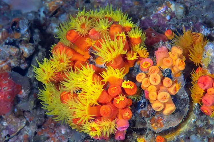 Ilustrační obrázek