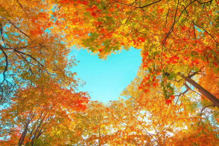 Ilustrační obrázek