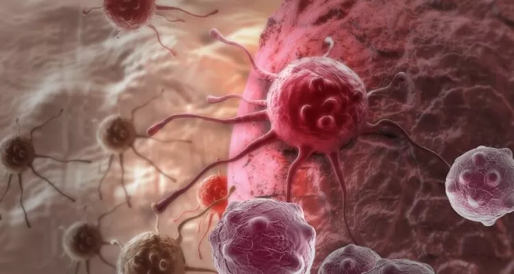 Ilustrační obrázek