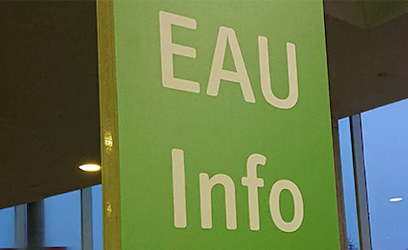 Ilustrační obrázek