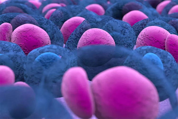 Ilustrační obrázek