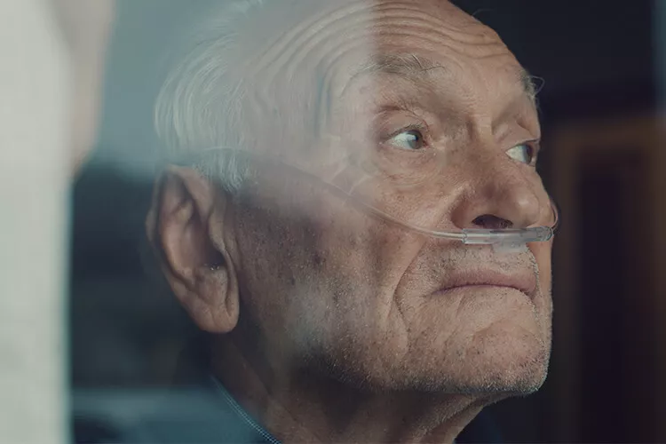 Ilustrační obrázek